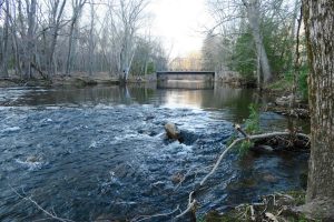 Willimantic River at Merrow Meadow