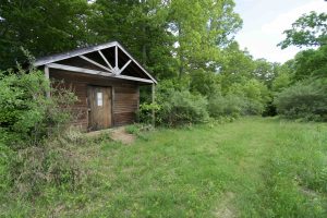 Woodland Warbler Cabin